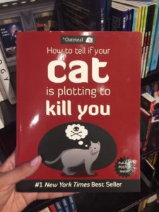 cat kill